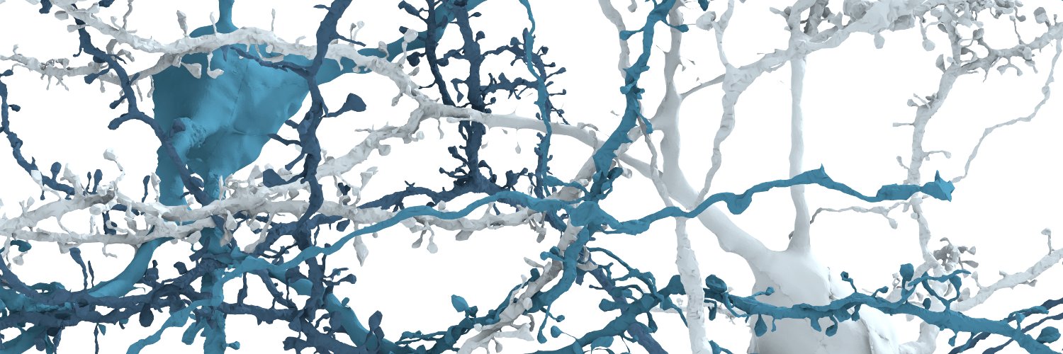 scalableminds's profile banner image
