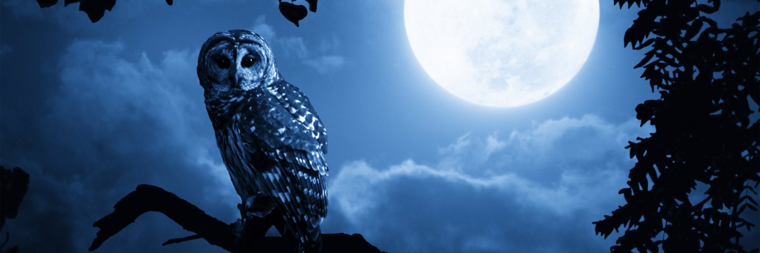 khasham1's profile banner image