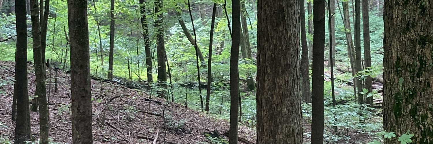 ScaryGaryEarly's profile banner image