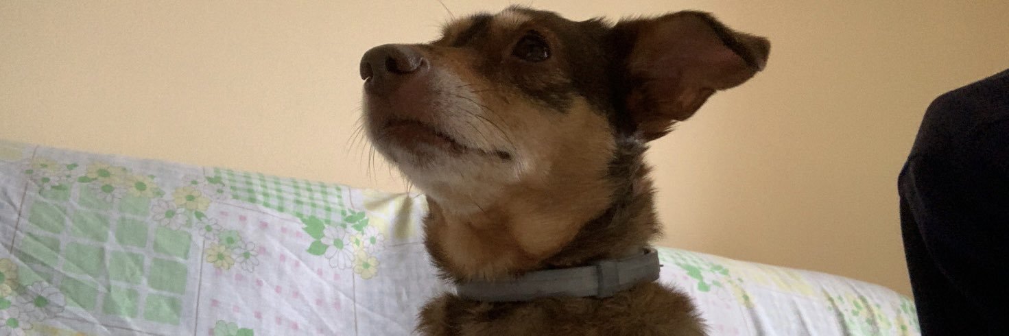 Pablo banner