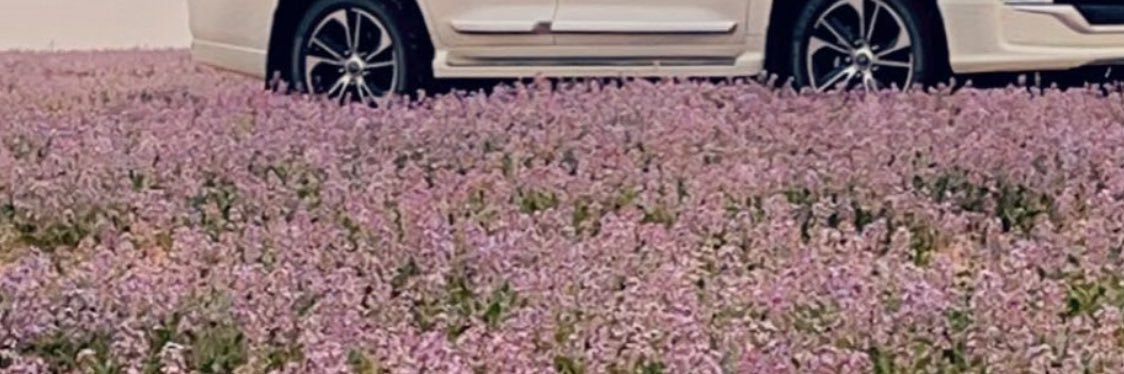 Fahd4774's profile banner image
