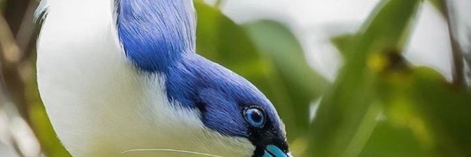 tovijarapi's profile banner image