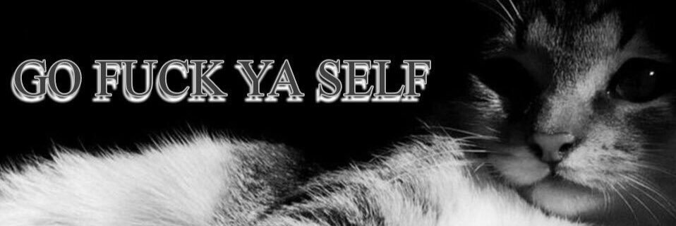 ✨Kaylin✨ banner