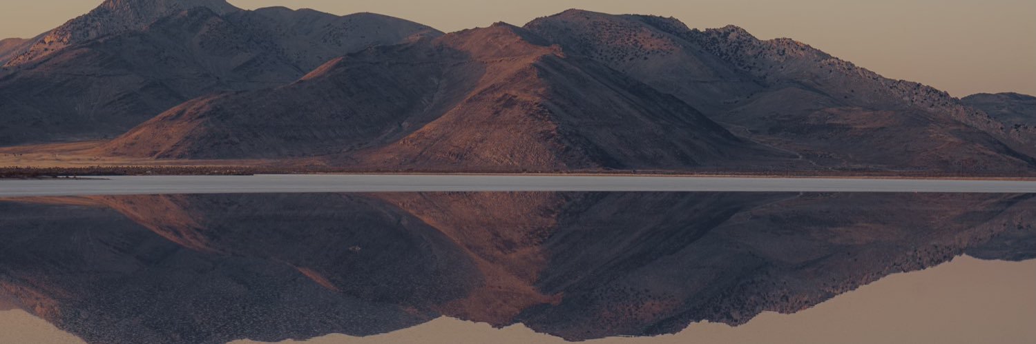 dasolini's profile banner image