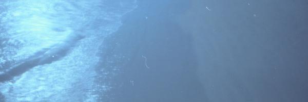 sloslylove Profile Banner