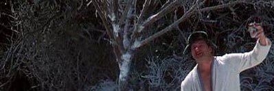 TDanski's profile banner image