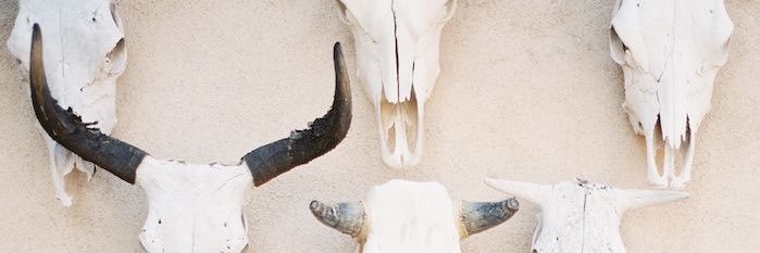 madi_cornett's profile banner image