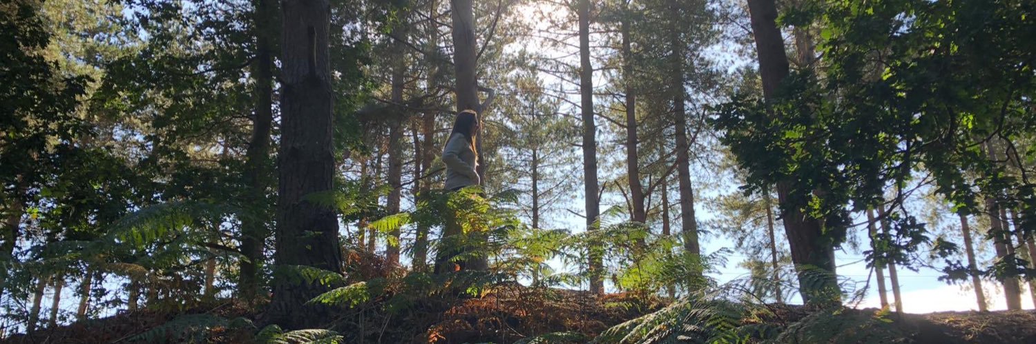 Vicky Wander 🌳 banner