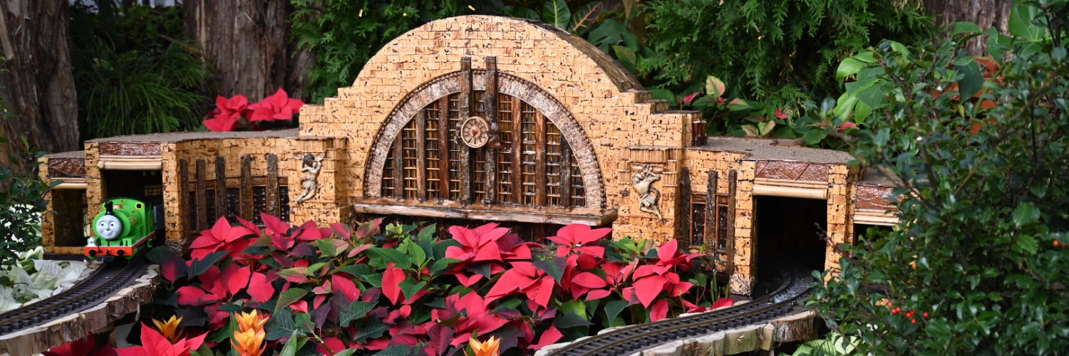 Brandon Lipman banner