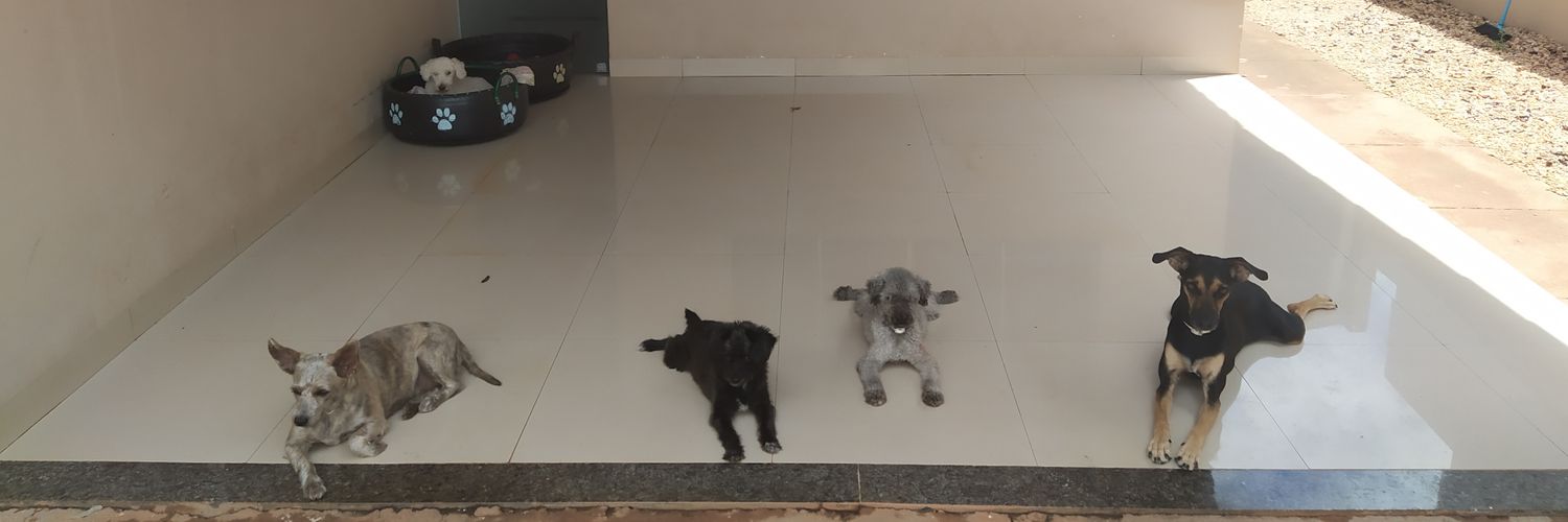 Felipe Bacon 🦅⚓ banner