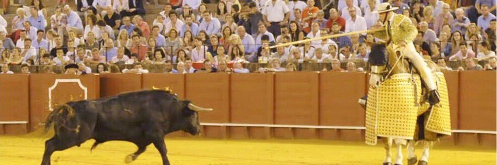 pedromanuelma's profile banner image