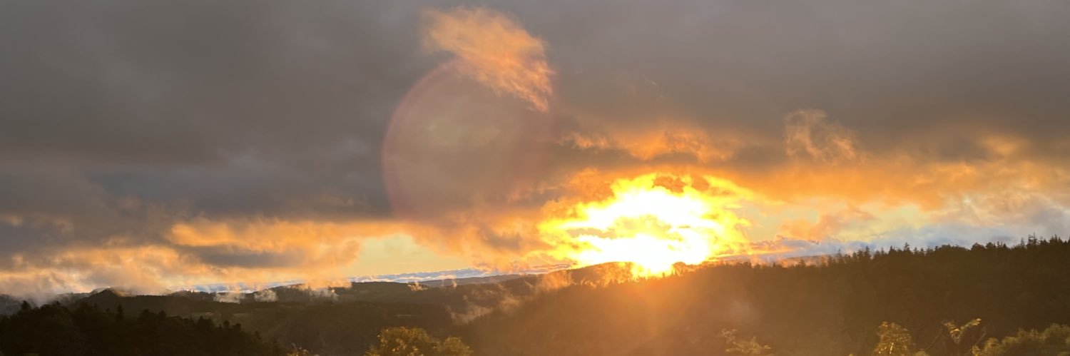 bie2105's profile banner image