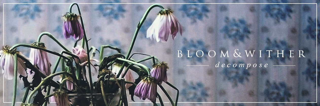 Bloomandwither's profile banner image