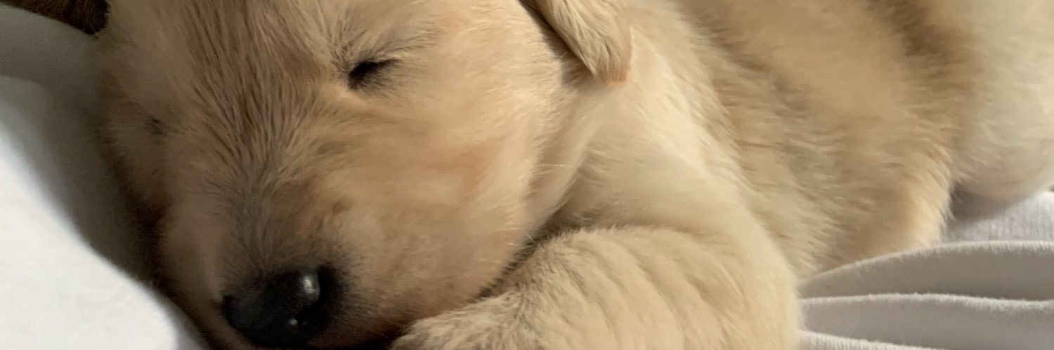 MiddletonDrew's profile banner image