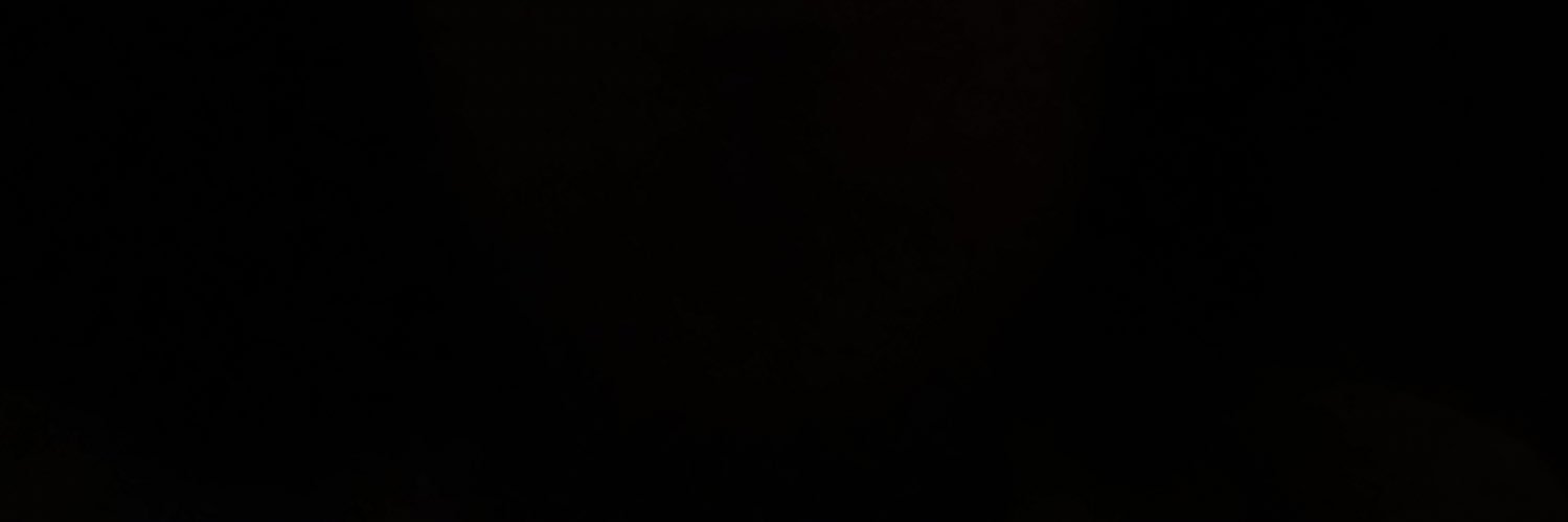 eylexa's profile banner image