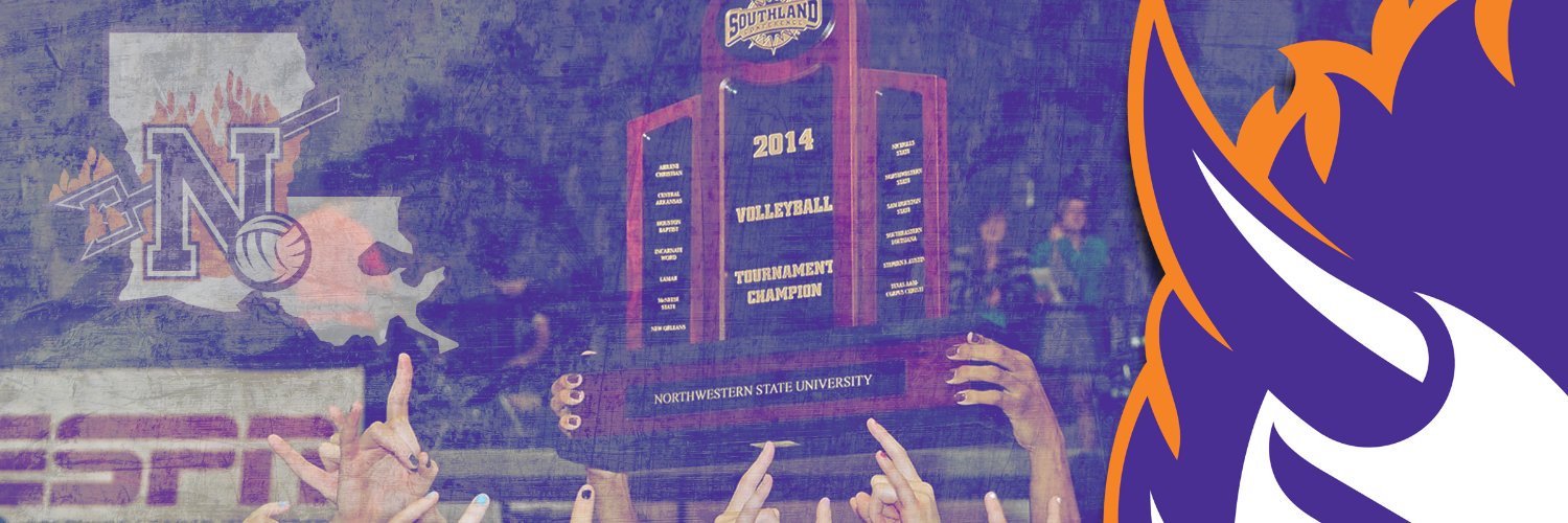 NSUDemonsVB10's profile banner image