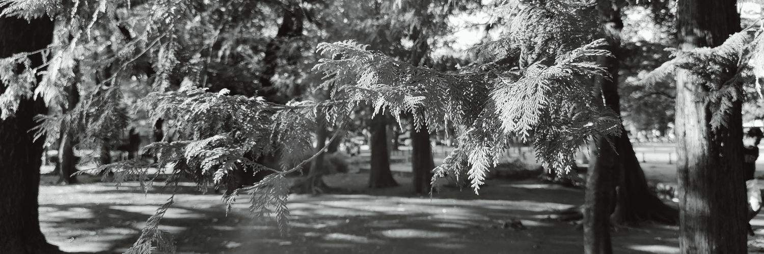 ふわ1🥟🍺 banner