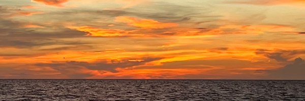 MicheleKAlouf Profile Banner