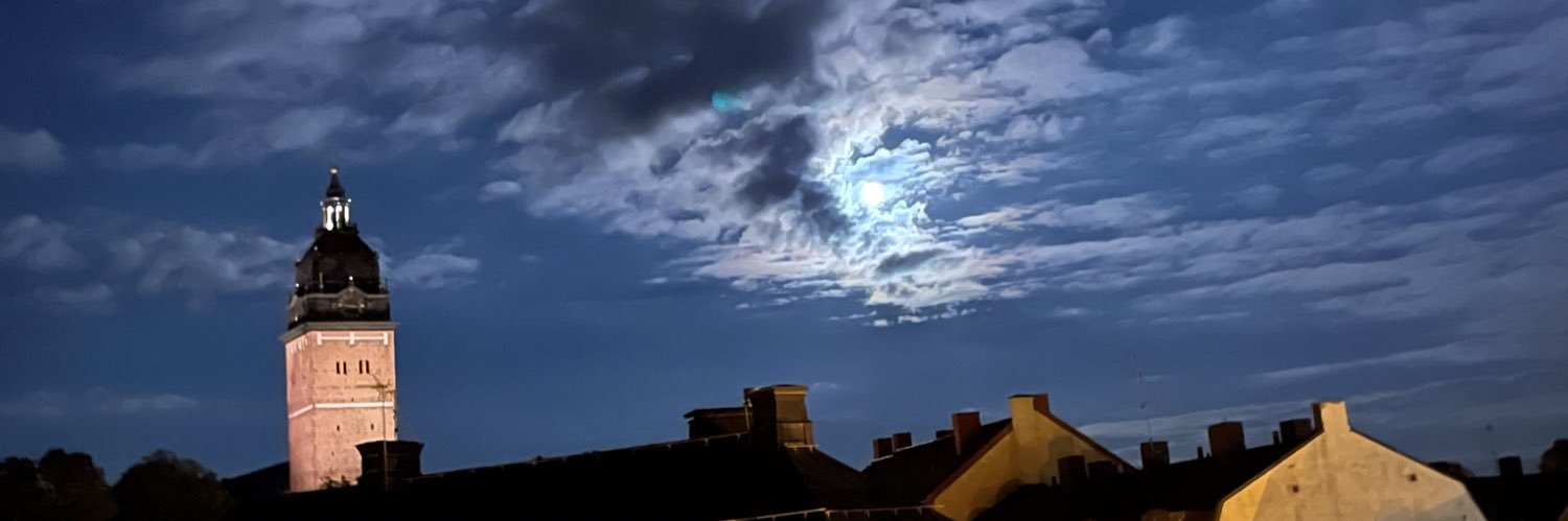 Alice Landerholm banner