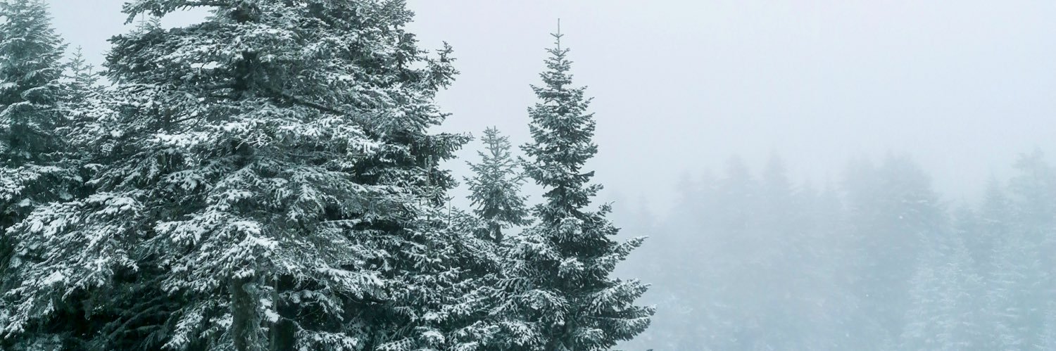 Elif Kameşoğlu banner