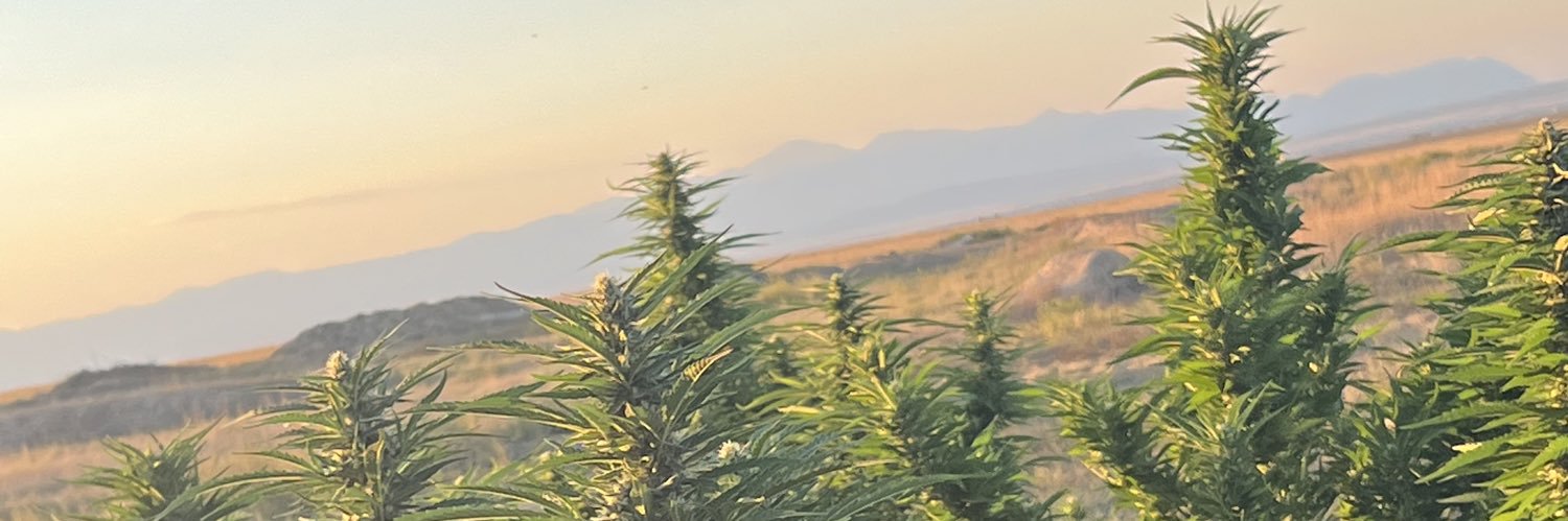 ÐŘEAM🦂 banner