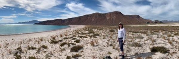 behanthere Profile Banner