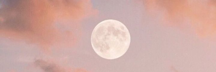 sah_stew's profile banner image