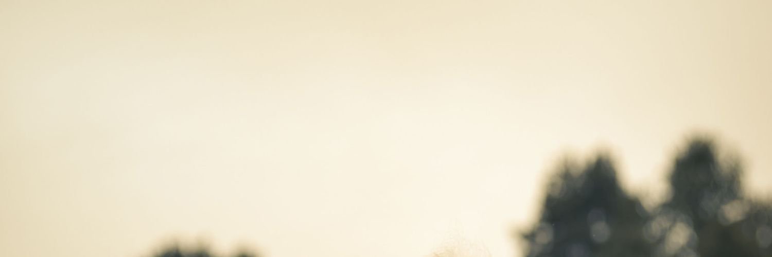 wedsaad_'s profile banner image