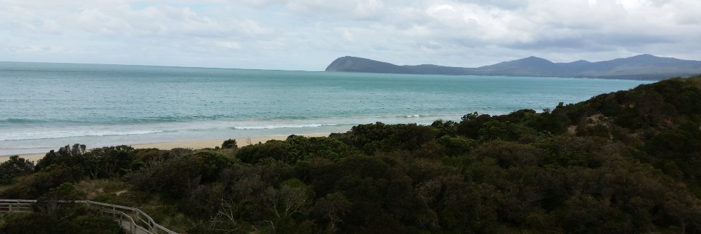 Robyn O'Halloran banner