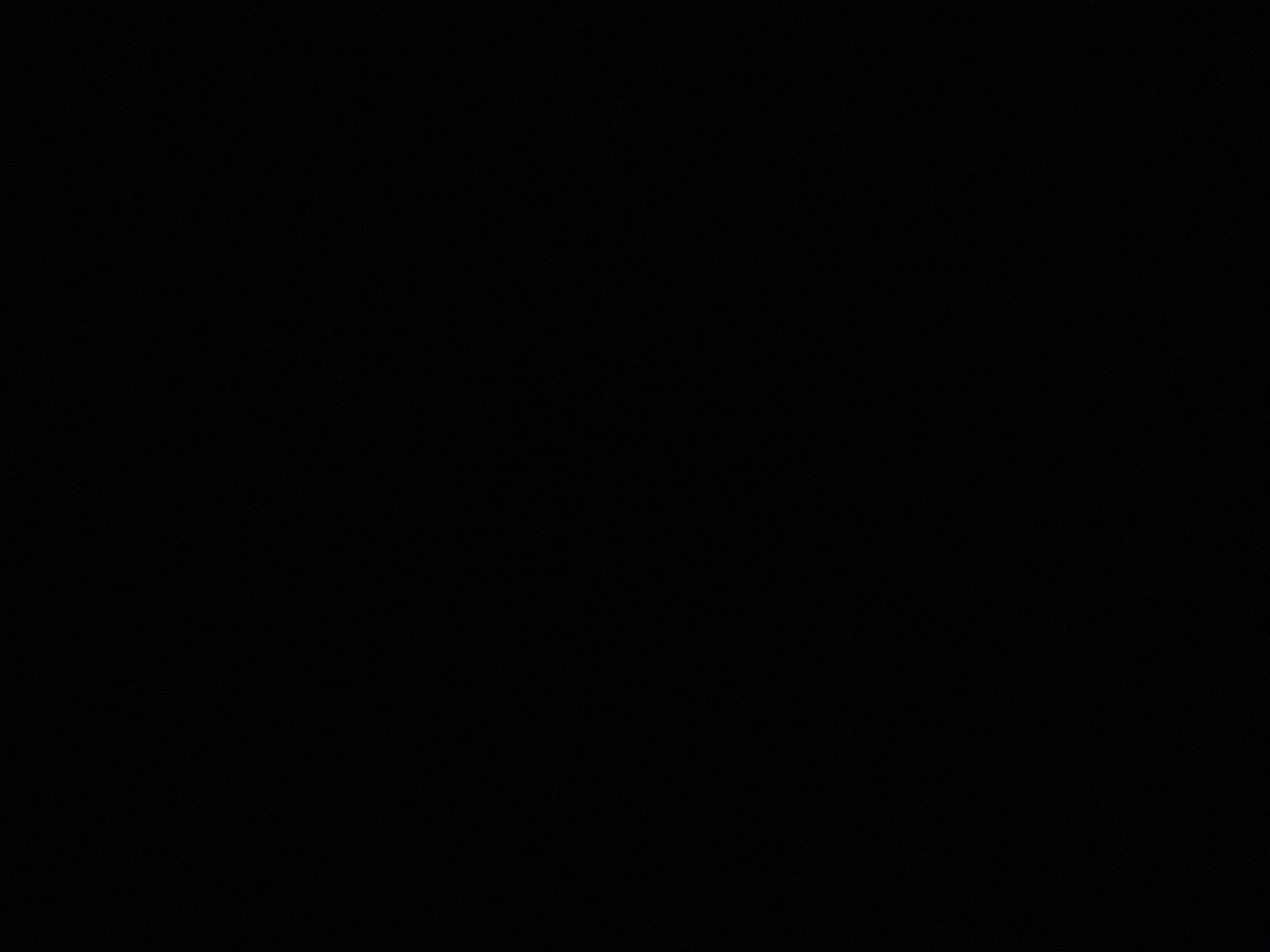 taifmessi's profile banner image
