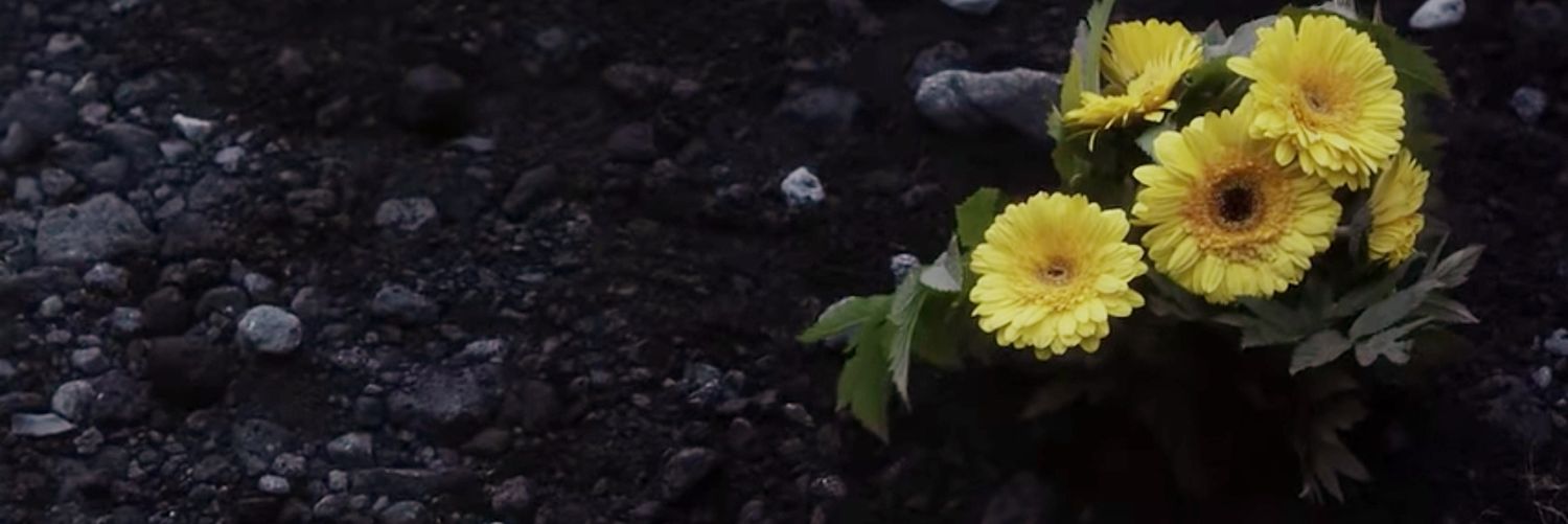 disasterspier's profile banner image