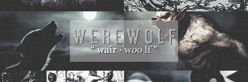 LiamDunbarRpg8's profile banner image