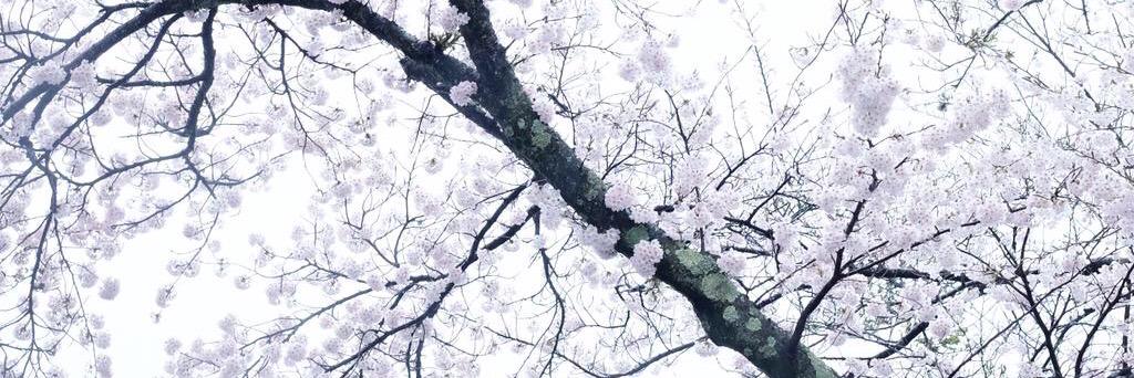 ryaninov's profile banner image