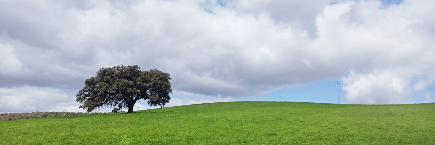FLICERASV's profile banner image
