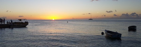 LizHarding_TD Profile Banner