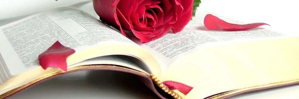 lizette12944's profile banner image