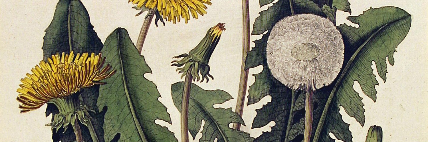 aleposset's profile banner image
