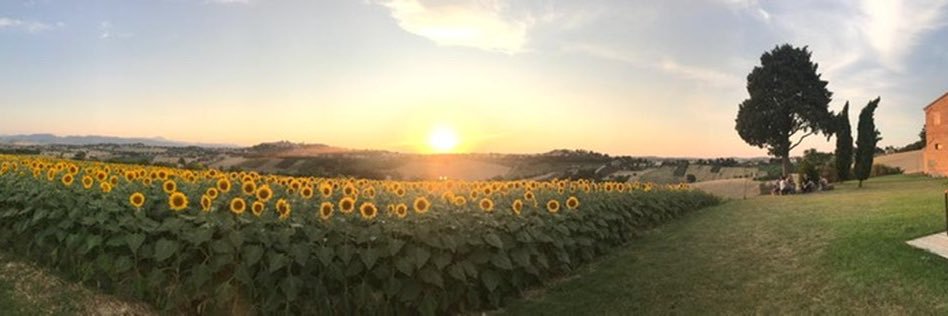 ATantucci's profile banner image