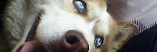 jorgeupm95's profile banner image