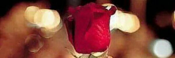 fsifxj34's profile banner image