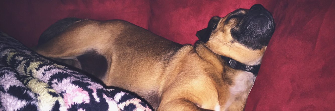 OH-LIV-E-Uhhhhh banner