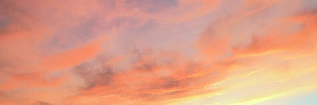tyunitomato's profile banner image