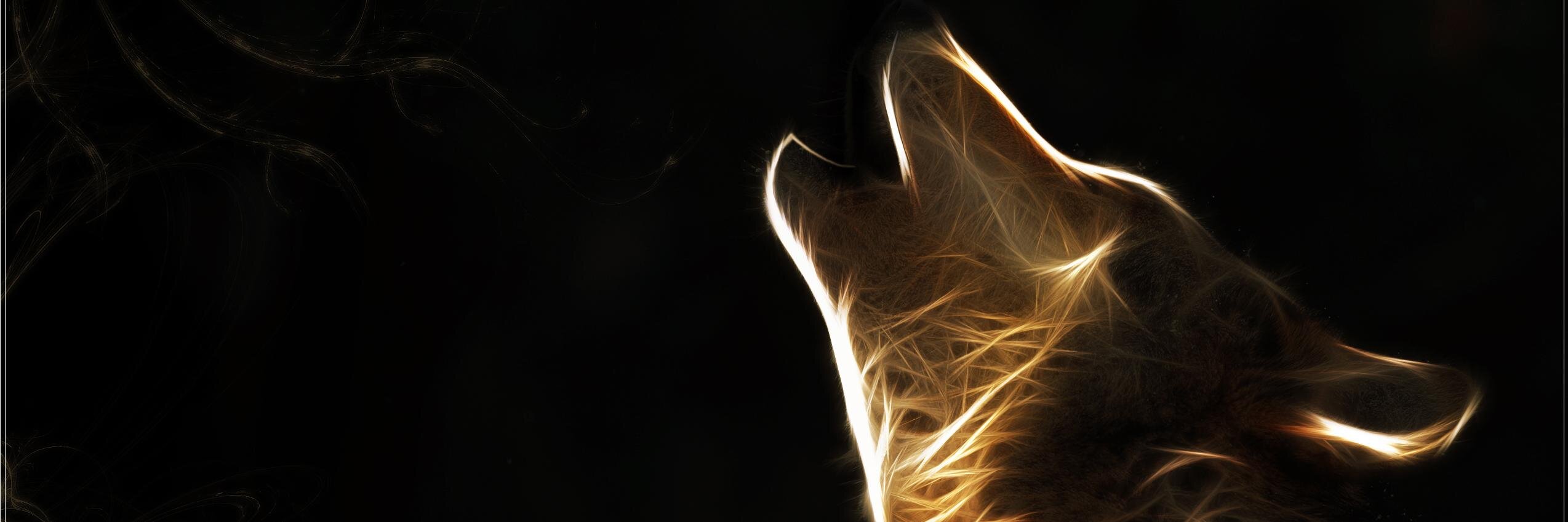 David_c_93's profile banner image