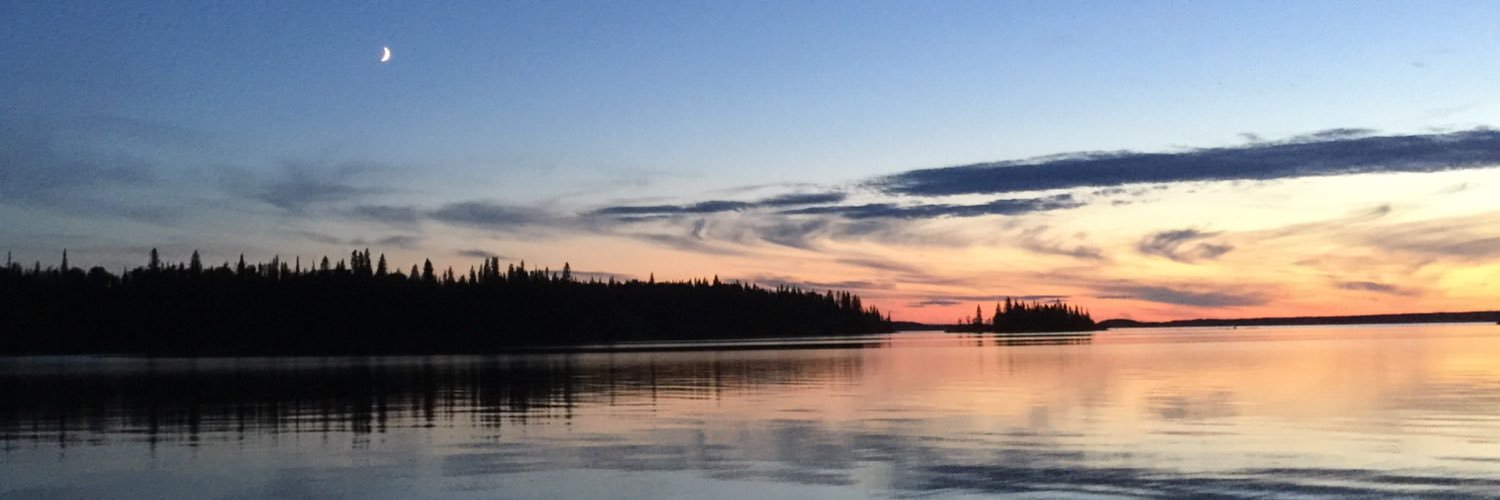 FiddlerAdamF's profile banner image