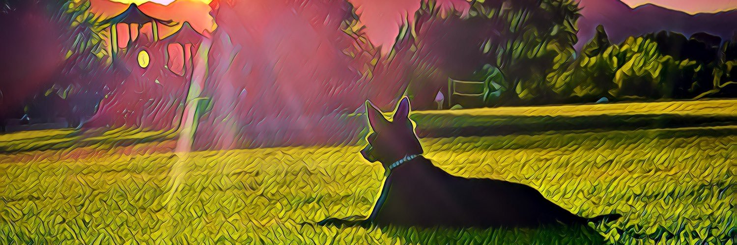 LiliPeck63's profile banner image