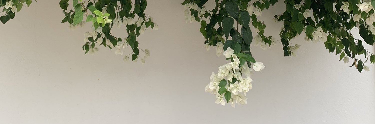 Mermu_'s profile banner image