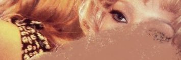 ia banner
