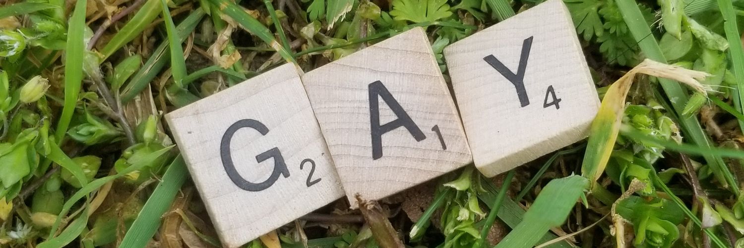 gayguy285's profile banner image