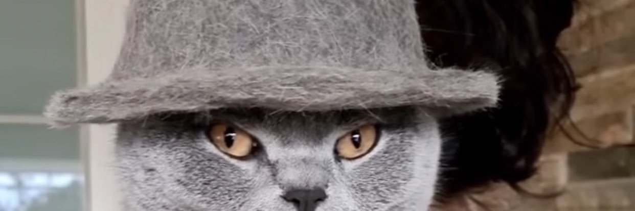 MackGzuz's profile banner image