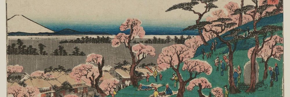 Bonsai banner